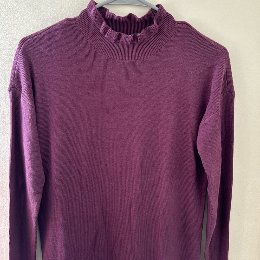 NWT Sweater Dress